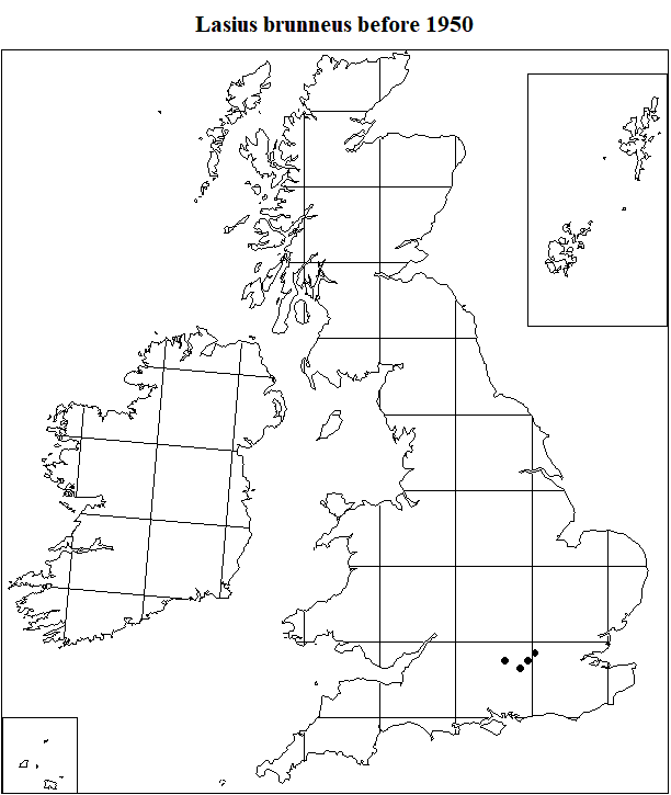 Lasius brunneus before 1950