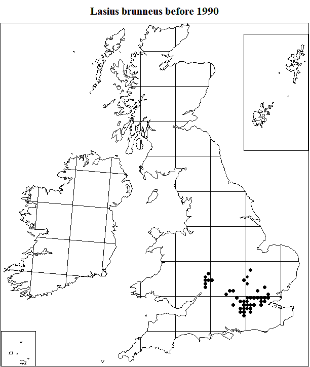 Lasius brunneus bwefore 1990