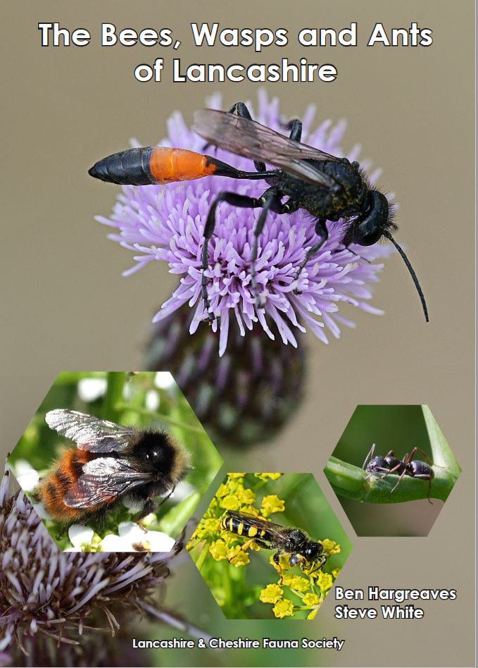 The Bees, Wasps and Ants of Lancashire