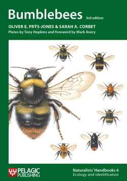 Bee identification guide